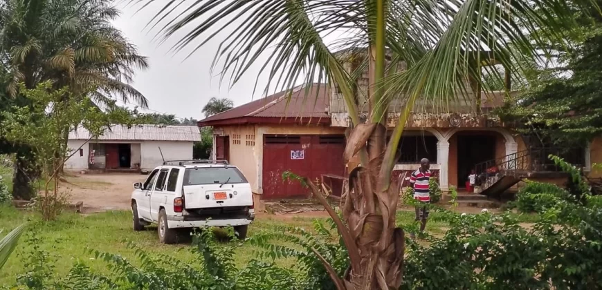 Three Bed-Room House