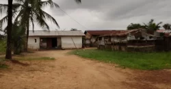 Three Bed-Room House