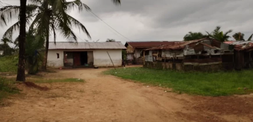 Three Bed-Room House