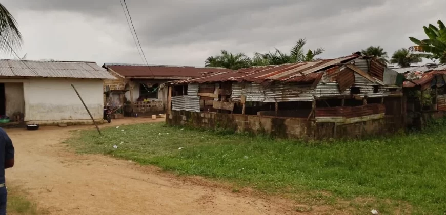 Three Bed-Room House
