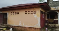 Three Bed-Room House