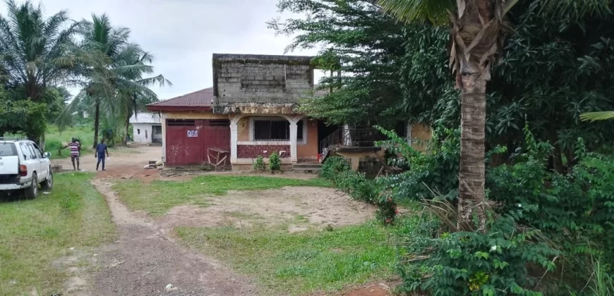 Three Bed-Room House