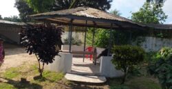 Entire New Georgia Compound