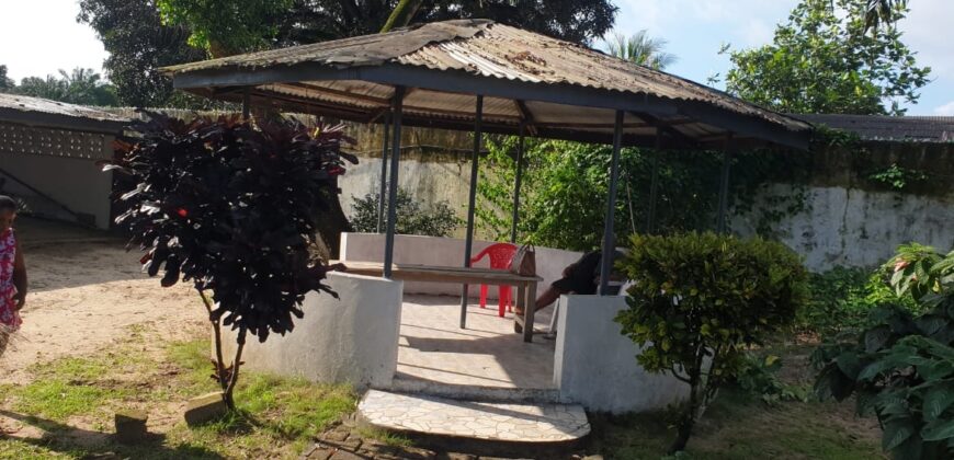 Entire New Georgia Compound