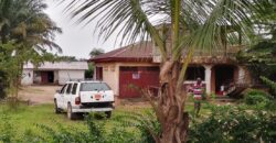 Three Bed-Room House