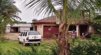 Three Bed-Room House