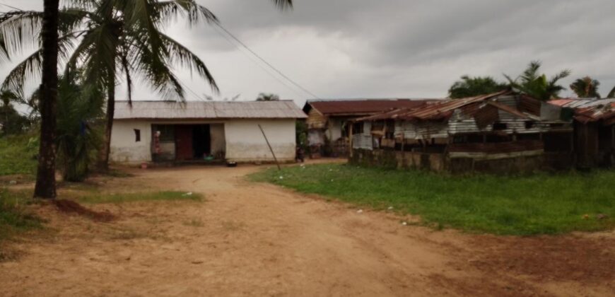 Three Bed-Room House