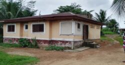 Three Bed-Room House