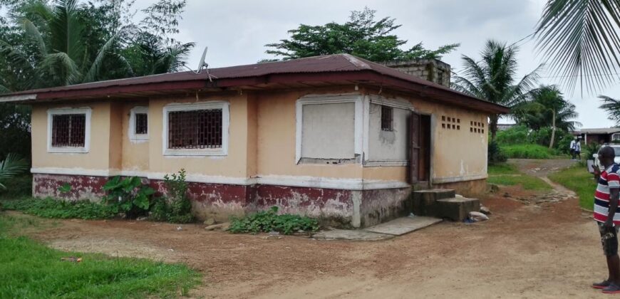 Three Bed-Room House