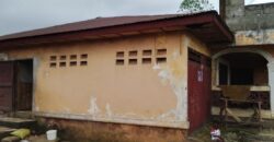 Three Bed-Room House