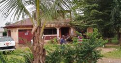 Three Bed-Room House