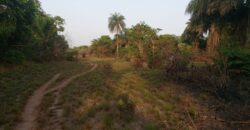 Brewerville Beach Community Land