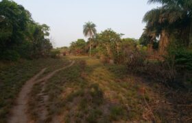 Brewerville Beach Community Land