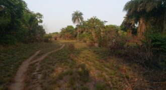 Brewerville Beach Community Land