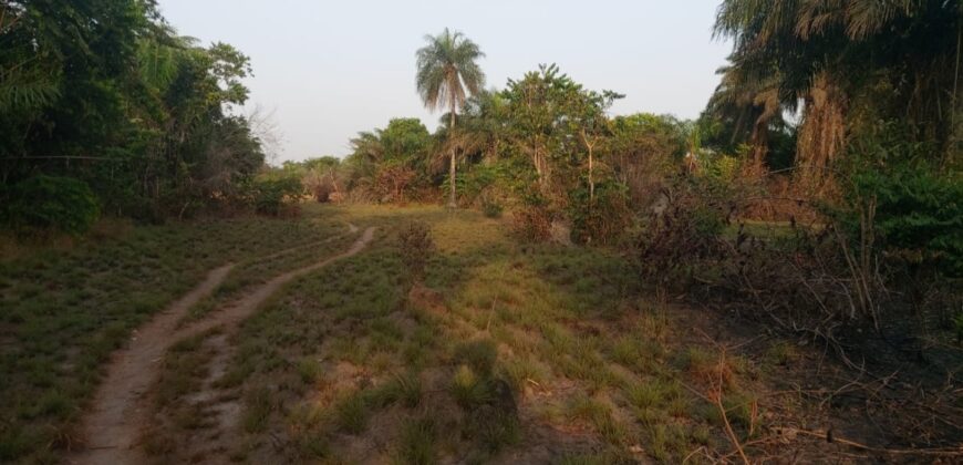 Brewerville Beach Community Land