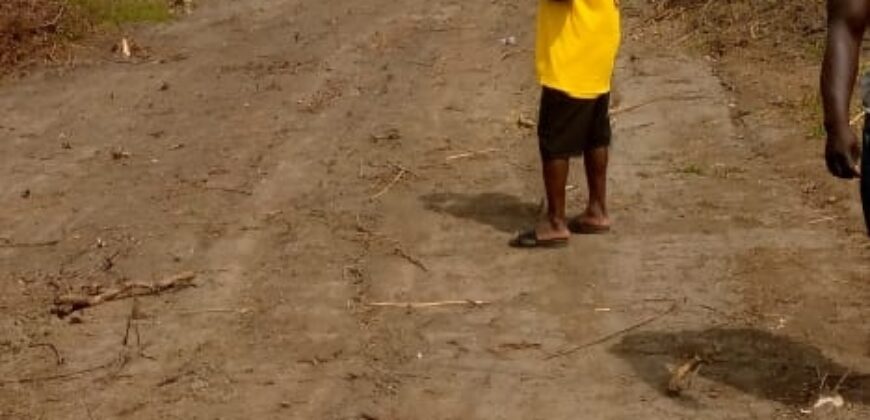 Brewerville Beach Community Land