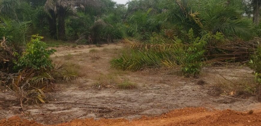 Brewerville Beach Community Land