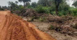 Brewerville Beach Community Land