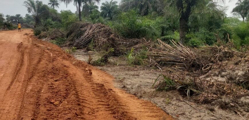 Brewerville Beach Community Land