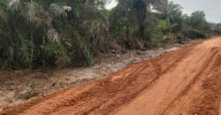 Brewerville Beach Community Land