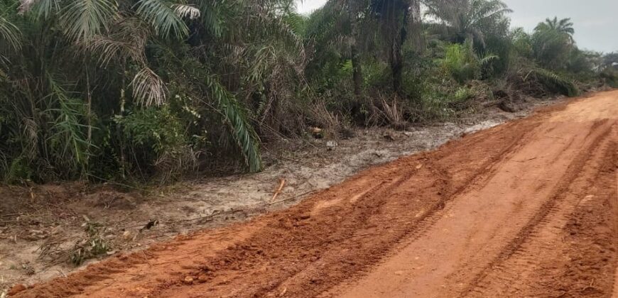 Brewerville Beach Community Land