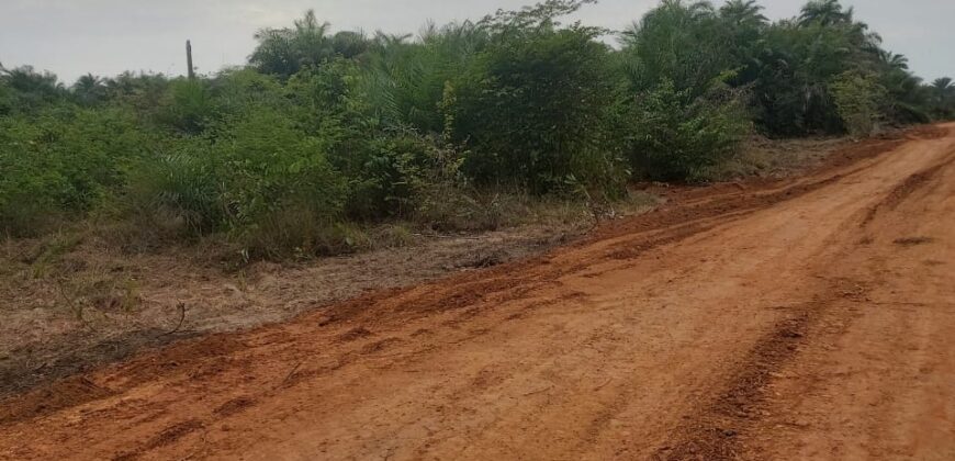 Brewerville Beach Community Land