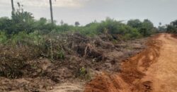 Brewerville Beach Community Land