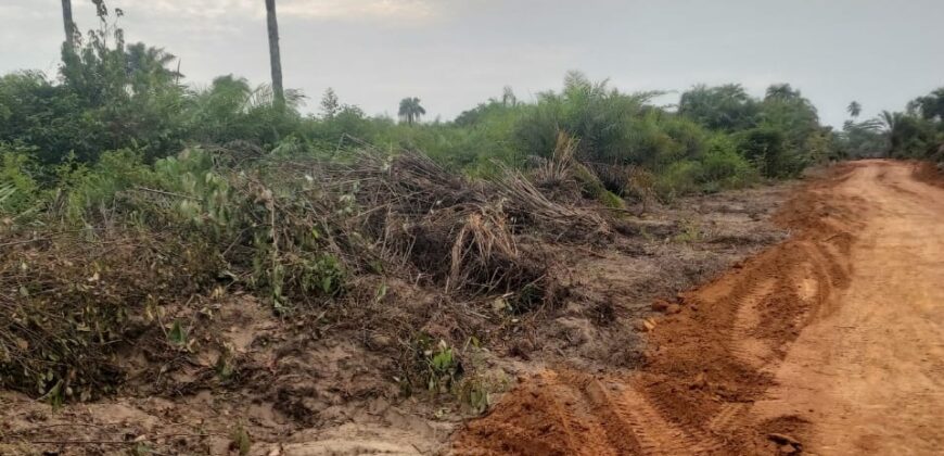 Brewerville Beach Community Land