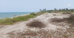 Prime Beachfront Property