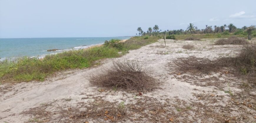 Prime Beachfront Property