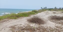 Prime Beachfront Property