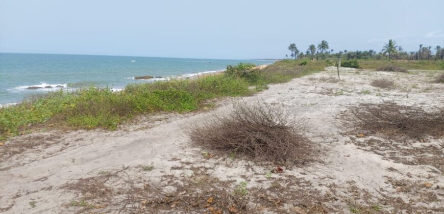 Prime Beachfront Property