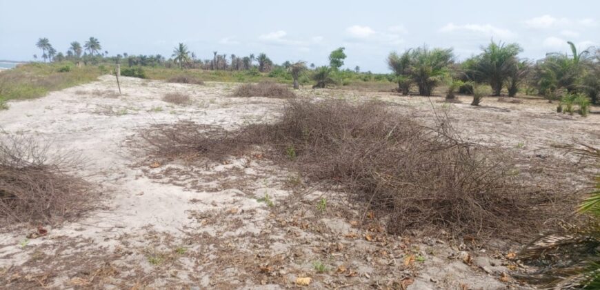 Prime Beachfront Property