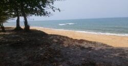 Prime Beachfront Property