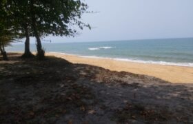 Prime Beachfront Property