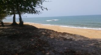 Prime Beachfront Property