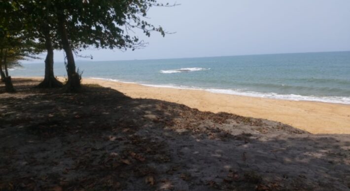 Prime Beachfront Property