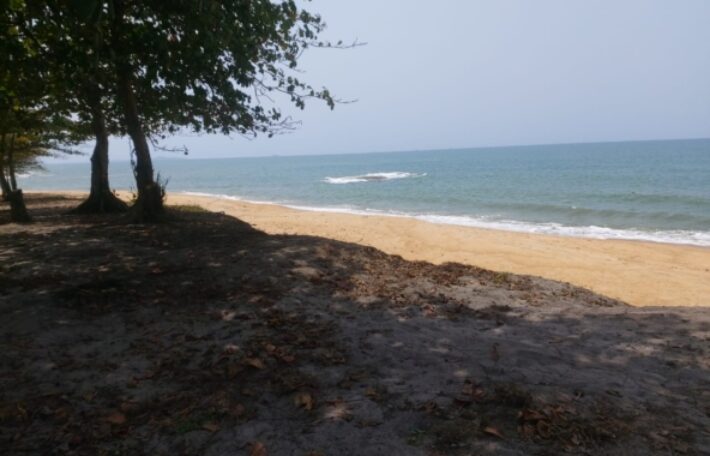 Prime Beachfront Property