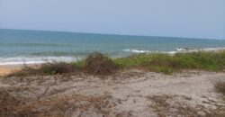 Prime Beachfront Property