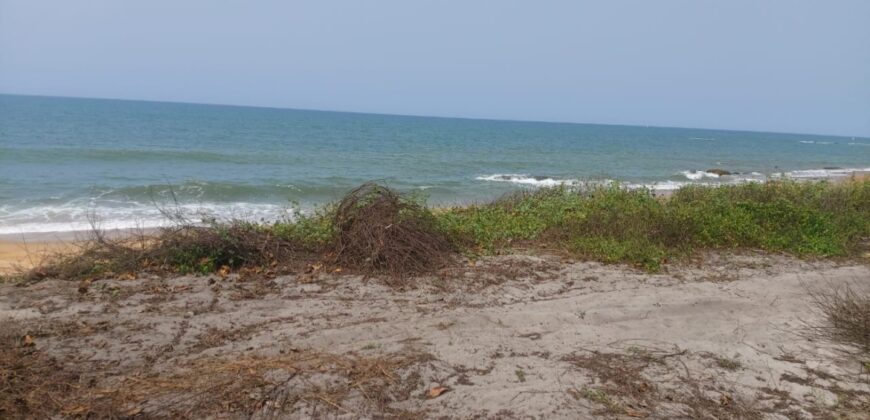 Prime Beachfront Property