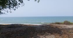 Prime Beachfront Property