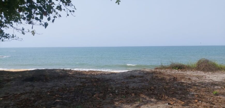 Prime Beachfront Property