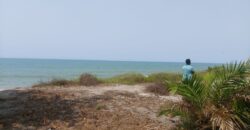 Prime Beachfront Property