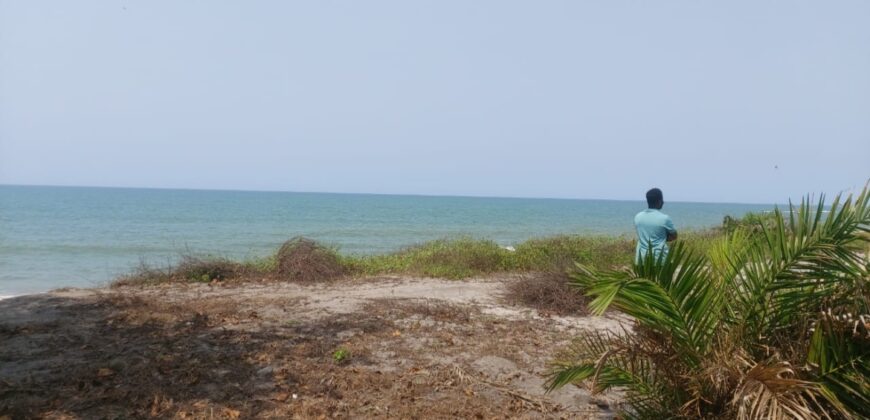 Prime Beachfront Property