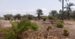 Prime Beachfront Property