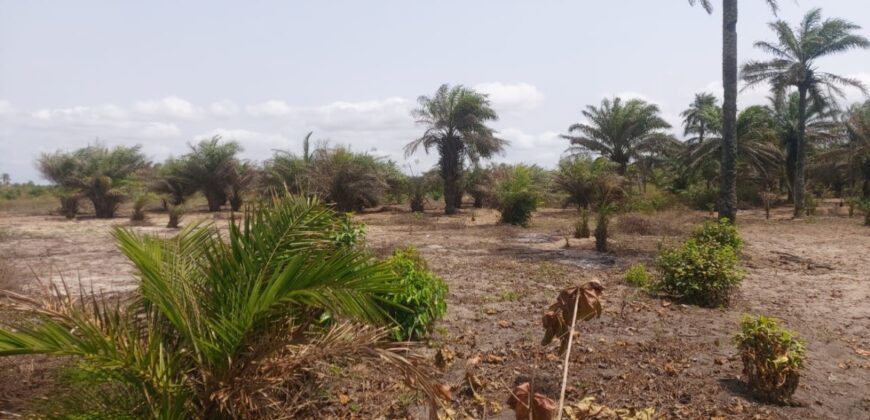 Prime Beachfront Property