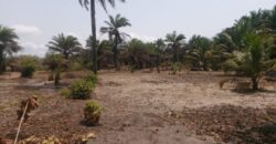 Prime Beachfront Property