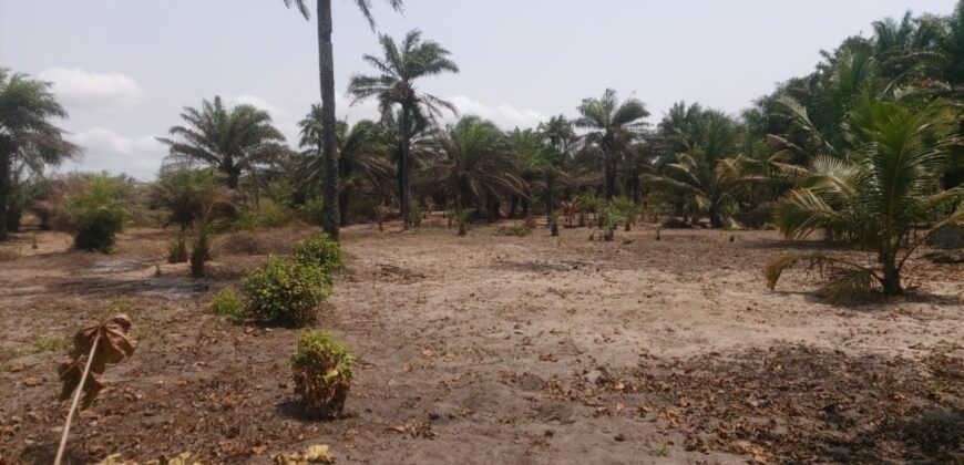 Prime Beachfront Property