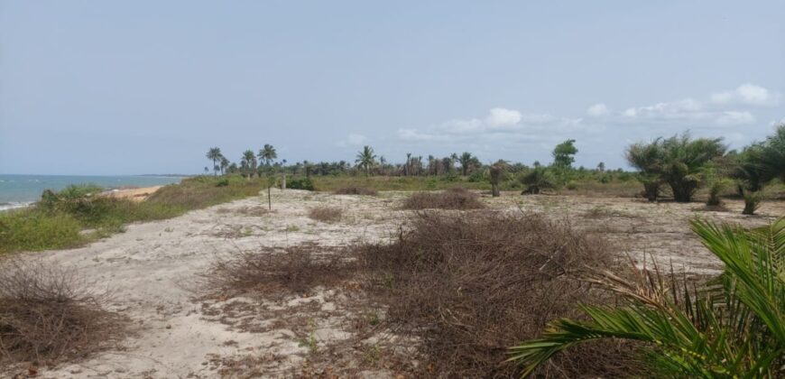 Prime Beachfront Property