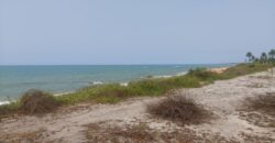 Prime Beachfront Property